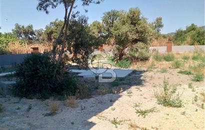SİTE İÇİ SIFIR 2+1 DAİRE HAVUZ VE KAPALI OTOPARK