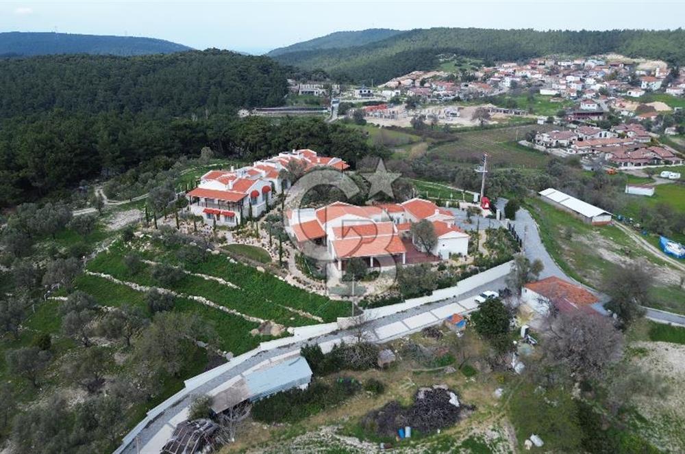 Urla Yağcılarda 28 Dönüm Zeytin Ağaçlı Tarla
