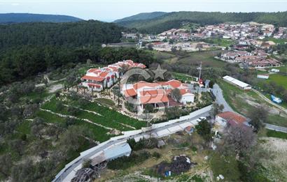 Urla Yağcılarda 28 Dönüm Zeytin Ağaçlı Tarla