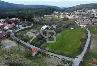 Urla Yağcılarda 28 Dönüm Zeytin Ağaçlı Tarla - 5 - 362197