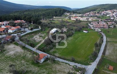 Urla Yağcılarda 28 Dönüm Zeytin Ağaçlı Tarla