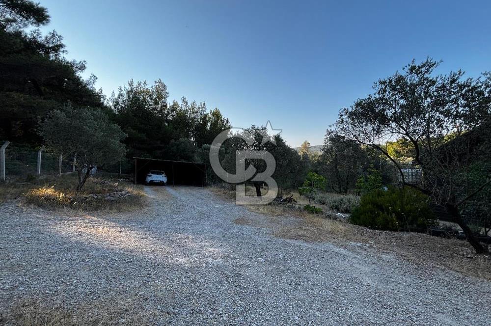 Urla Özbek'Te Zeytin Bahçeli Çiiftlik Evi CB PH