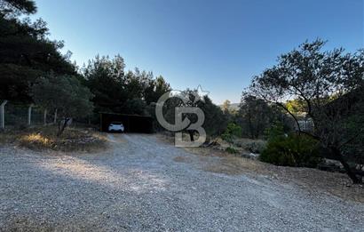 Urla Özbek'Te Zeytin Bahçeli Çiiftlik Evi CB PH
