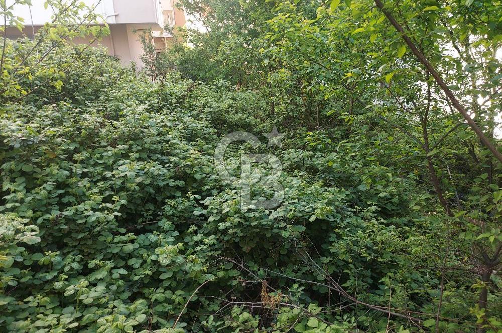 Gebze Köşklüçeşme'de satılık arsa