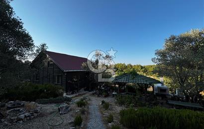 Urla Özbek'Te Zeytin Bahçeli Çiiftlik Evi CB PH