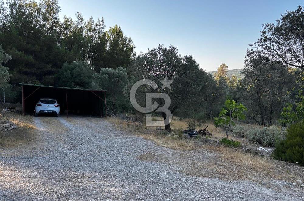 Urla Özbek'Te Zeytin Bahçeli Çiiftlik Evi CB PH