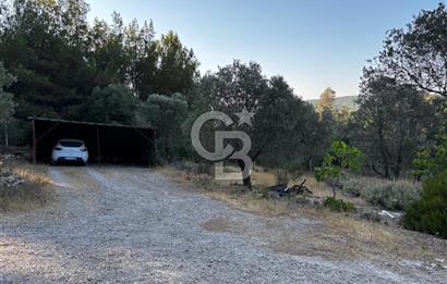 Urla Özbek'Te Zeytin Bahçeli Çiiftlik Evi CB PH