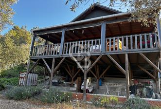 Urla Özbek'Te Zeytin Bahçeli Çiiftlik Evi CB PH - 9 - 367591
