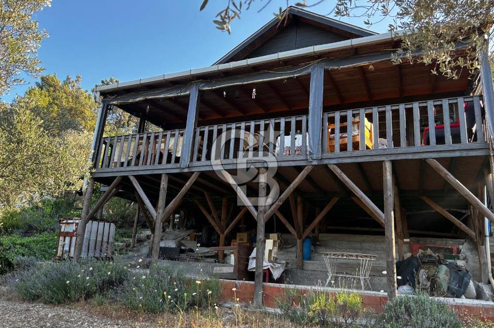 Urla Özbek'Te Zeytin Bahçeli Çiiftlik Evi CB PH