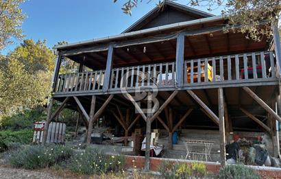 Urla Özbek'Te Zeytin Bahçeli Çiiftlik Evi CB PH