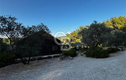 Urla Özbek'Te Zeytin Bahçeli Çiiftlik Evi CB PH