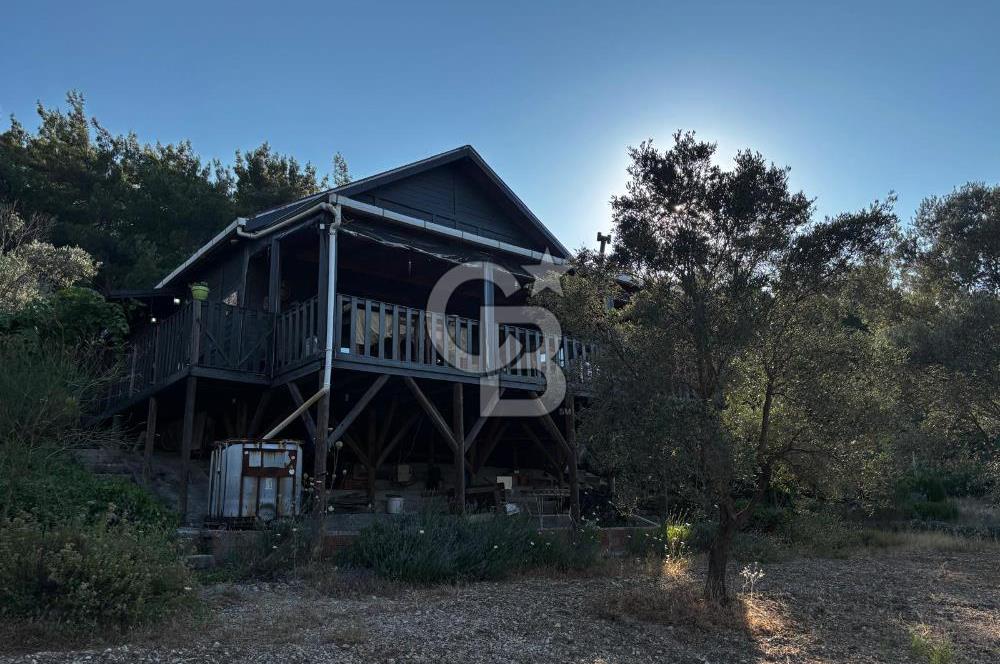 Urla Özbek'Te Zeytin Bahçeli Çiiftlik Evi CB PH
