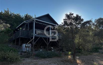 Urla Özbek'Te Zeytin Bahçeli Çiiftlik Evi CB PH