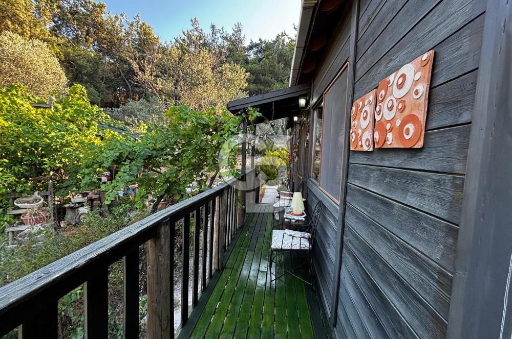 Urla Özbek'Te Zeytin Bahçeli Çiiftlik Evi CB PH