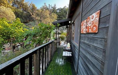 Urla Özbek'Te Zeytin Bahçeli Çiiftlik Evi CB PH