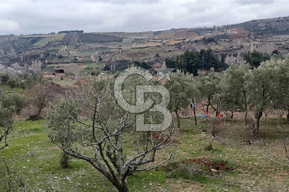 Manisa Demirci'de 4.620 m2 Kadastrol Yolu olan(elektrik+su) Bağ