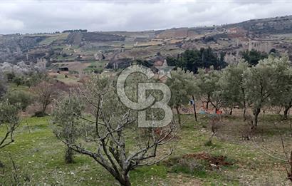 Manisa Demirci'de 4.620 m2 Kadastrol Yolu olan(elektrik+su) Bağ
