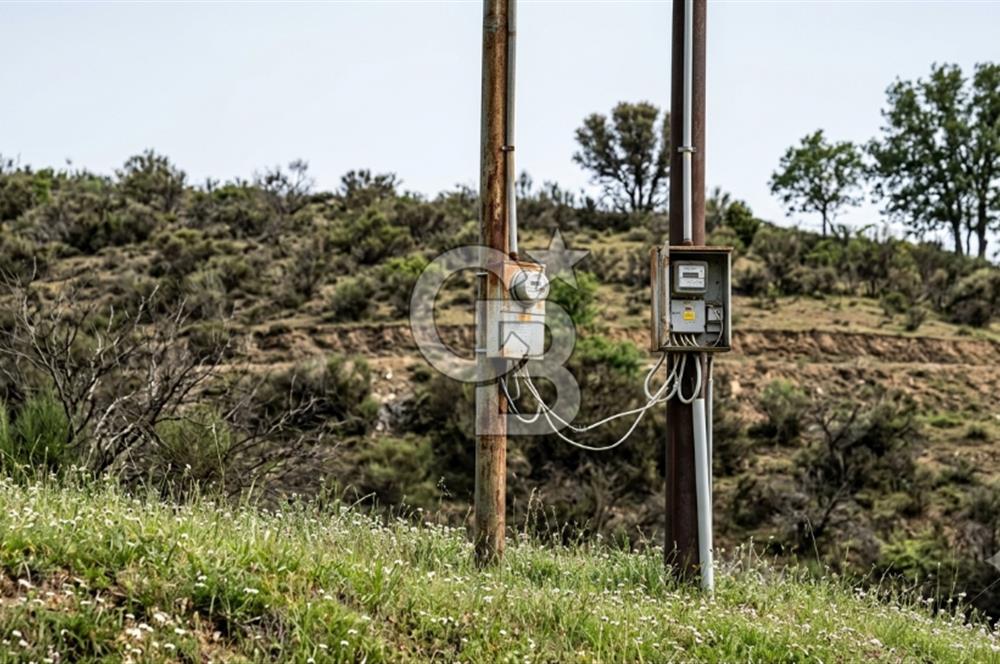 Manisa Demirci'de 4.620 m2 Kadastrol Yolu olan(elektrik+su) Bağ