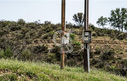 Manisa Demirci'de 4.620 m2 Kadastrol Yolu olan(elektrik+su) Bağ