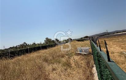HELVACI MERKEZE 3 DK 456m2 SATILIK ETRAFI ÇEVRİLİ TARLA