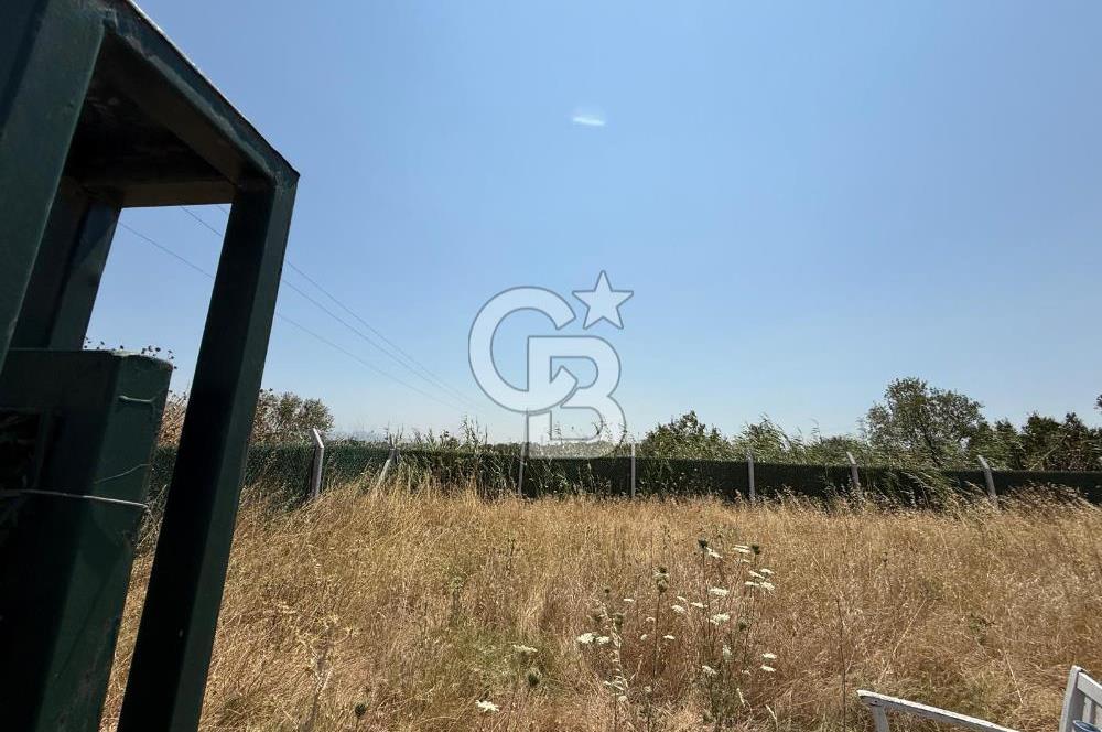 HELVACI MERKEZE 3 DK 456m2 SATILIK ETRAFI ÇEVRİLİ TARLA
