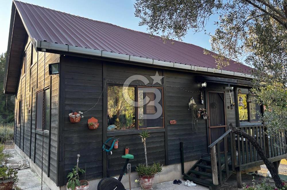 Urla Özbek'Te Zeytin Bahçeli Çiiftlik Evi CB PH
