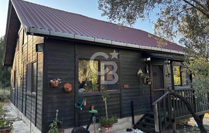 Urla Özbek'Te Zeytin Bahçeli Çiiftlik Evi CB PH