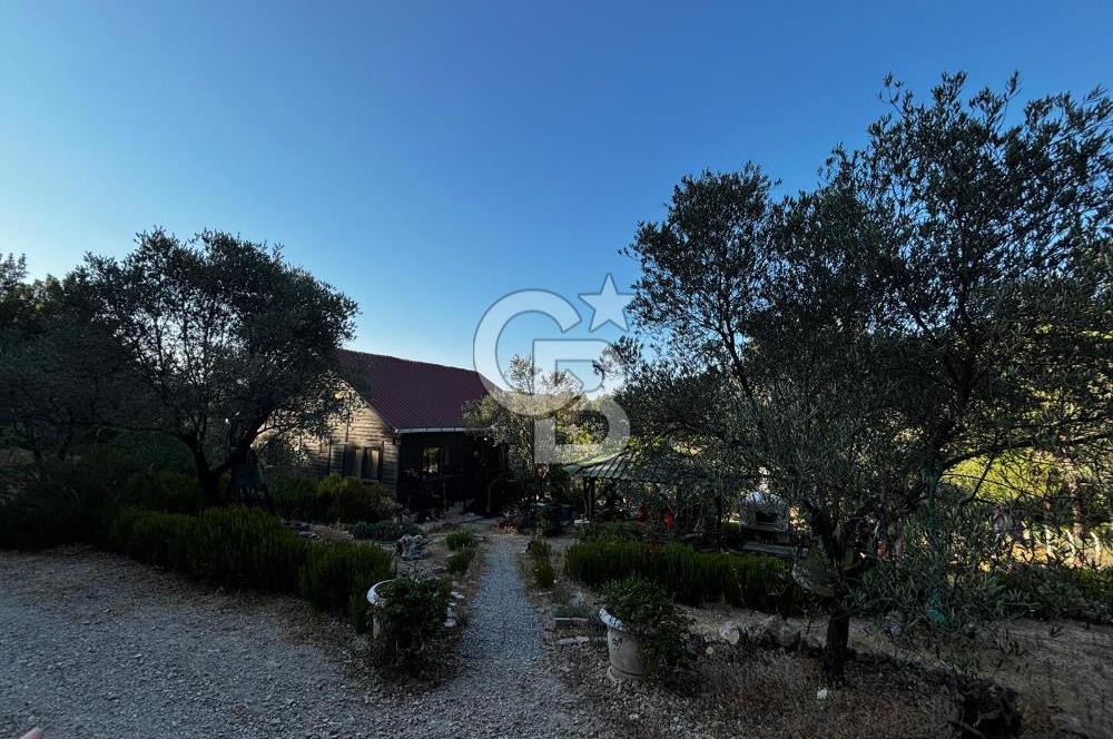 Urla Özbek'Te Zeytin Bahçeli Çiiftlik Evi CB PH