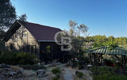 Urla Özbek'Te Zeytin Bahçeli Çiiftlik Evi CB PH