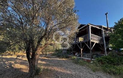 Urla Özbek'Te Zeytin Bahçeli Çiiftlik Evi CB PH