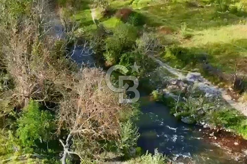 BALIKESİR BİGADİÇ DERE KENARI 424 m2 BAHÇE
