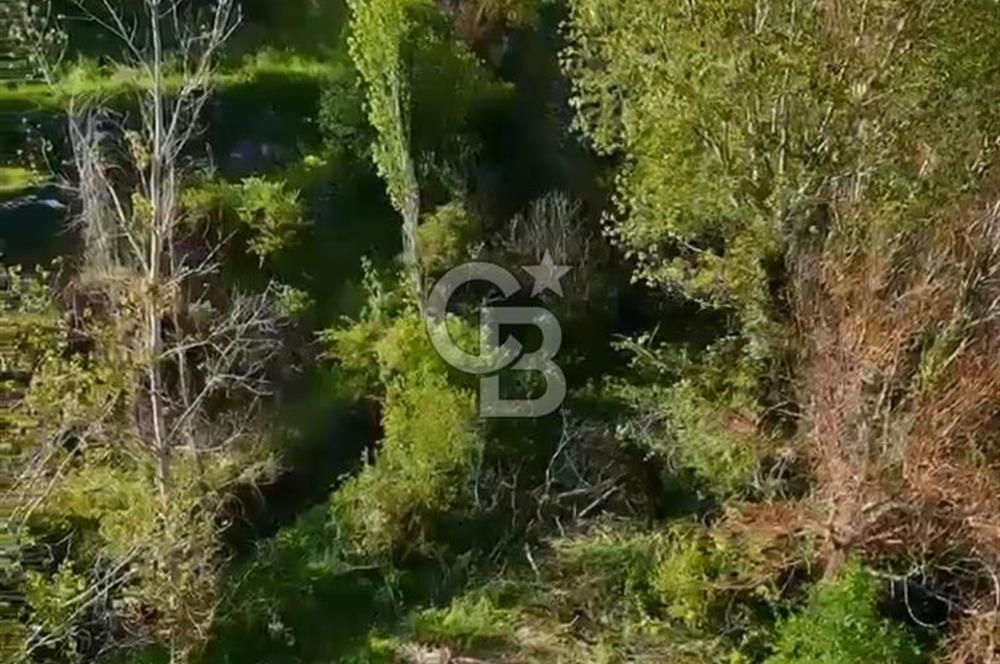 BALIKESİR BİGADİÇ DERE KENARI 424 m2 BAHÇE