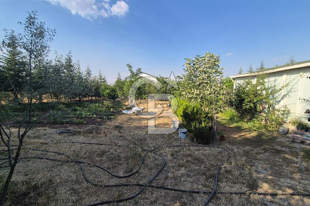 GÖLBAŞI HACILAR'DA İMARLI ARSA + 1+1 KONUT + MEYVE BAHÇESİ