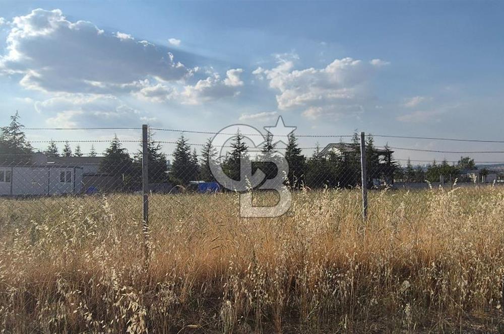 GÖLBAŞI HACILAR'DA İMARLI ARSA + 1+1 KONUT + MEYVE BAHÇESİ