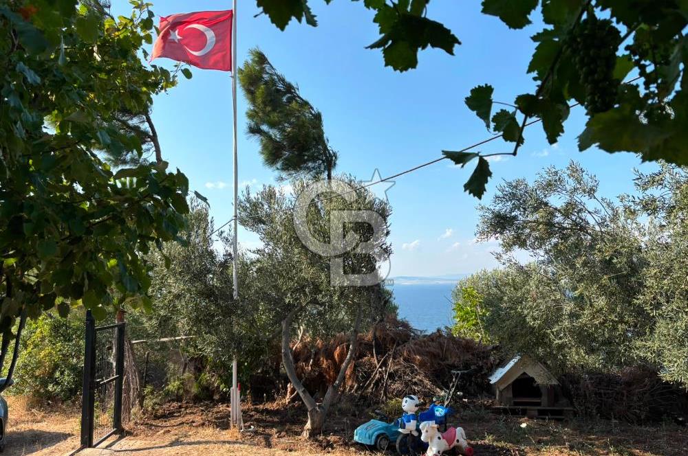 ÇANAKKALE ŞEVKETİYE'DE BOĞAZ MANZARALI SATILIK MÜSTAKİL BAĞ EVİ
