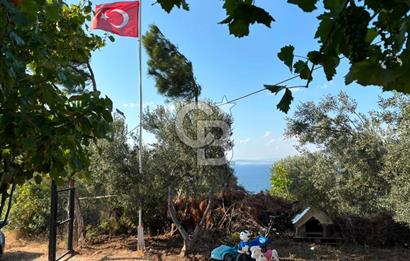 ÇANAKKALE ŞEVKETİYE'DE BOĞAZ MANZARALI SATILIK MÜSTAKİL BAĞ EVİ