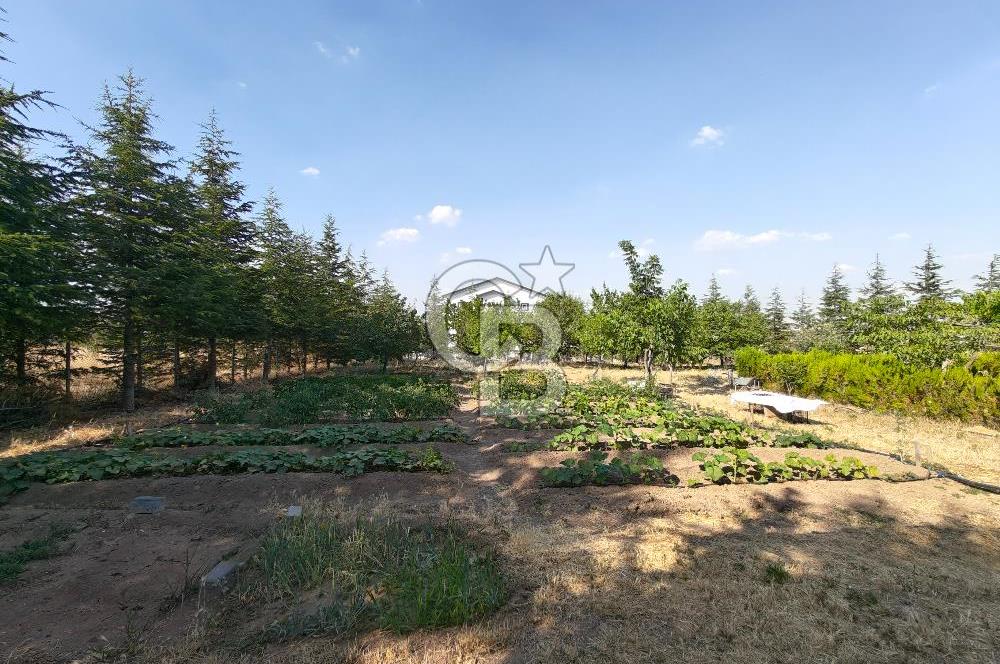 GÖLBAŞI HACILAR'DA İMARLI ARSA + 1+1 KONUT + MEYVE BAHÇESİ