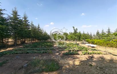 GÖLBAŞI HACILAR'DA İMARLI ARSA + 1+1 KONUT + MEYVE BAHÇESİ