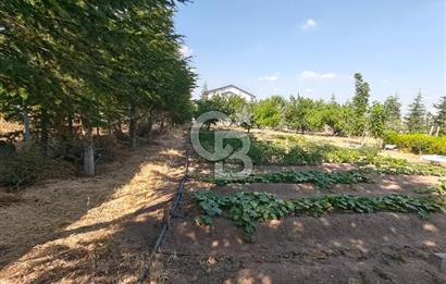GÖLBAŞI HACILAR'DA İMARLI ARSA + 1+1 KONUT + MEYVE BAHÇESİ