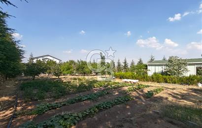 GÖLBAŞI HACILAR'DA İMARLI ARSA + 1+1 KONUT + MEYVE BAHÇESİ