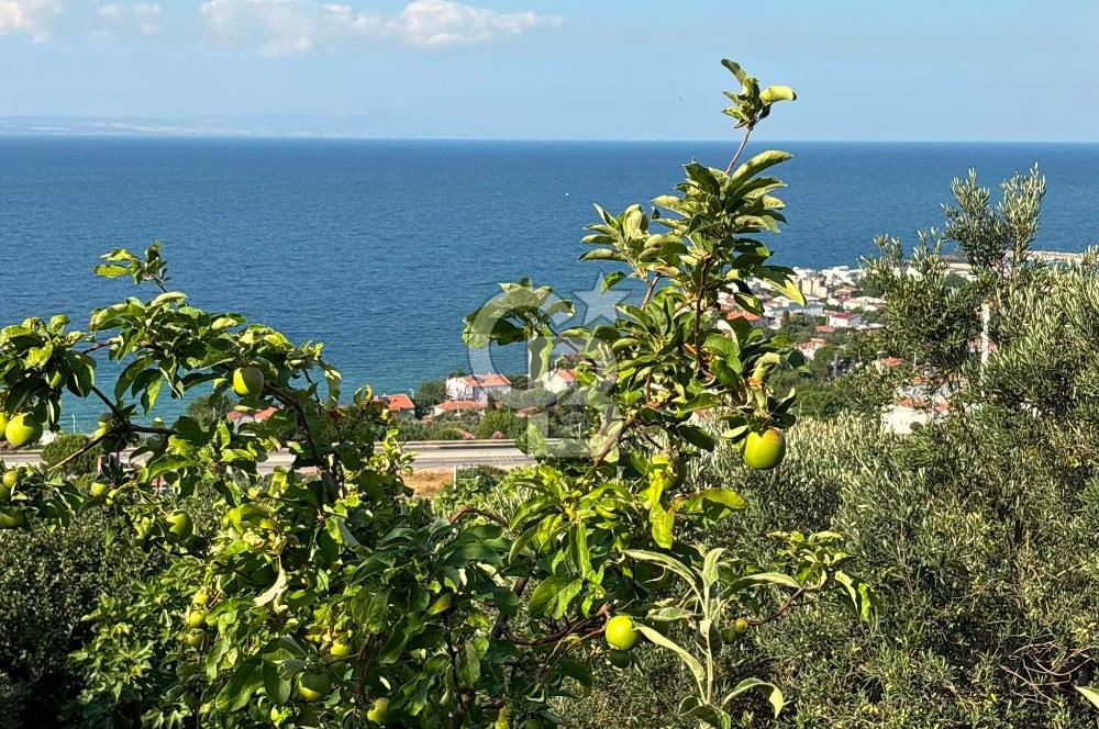 ÇANAKKALE ŞEVKETİYE'DE BOĞAZ MANZARALI SATILIK MÜSTAKİL BAĞ EVİ
