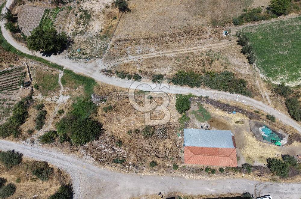 İzmir Kınık Musacallı Köyü Köyiçi İmarlı 300m2  Satılık Arsa