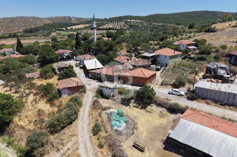 İzmir Kınık Musacallı Köyü Köyiçi İmarlı 300m2  Satılık Arsa
