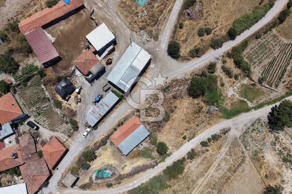 İzmir Kınık Musacallı Köyü Köyiçi İmarlı 300m2  Satılık Arsa