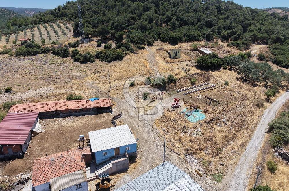 İzmir Kınık Musacallı Köyü Köyiçi İmarlı 300m2  Satılık Arsa