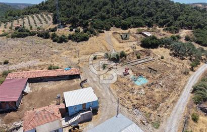 İzmir Kınık Musacallı Köyü Köyiçi İmarlı 300m2  Satılık Arsa