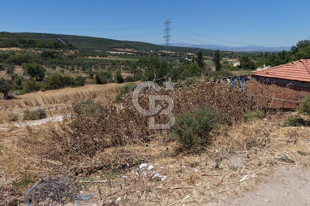 İzmir Kınık Musacallı Köyü Köyiçi İmarlı 300m2  Satılık Arsa