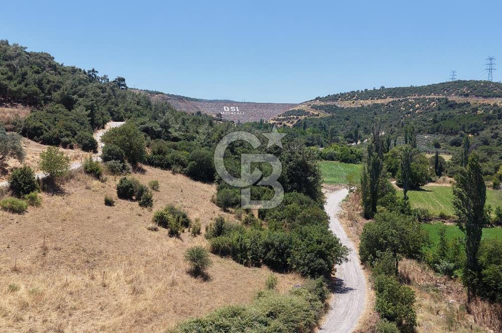 İzmir Kınık Musacallı Köyü Köyiçi İmarlı 300m2  Satılık Arsa