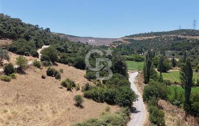 İzmir Kınık Musacallı Köyü Köyiçi İmarlı 300m2  Satılık Arsa