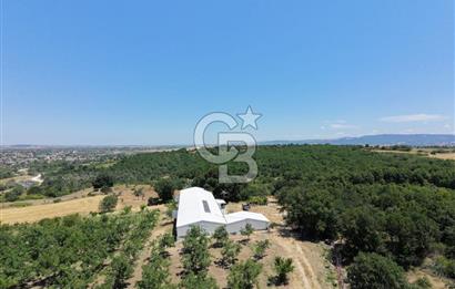 BİGA DANİŞMENT KÖYÜ 1. SINIF NİTELİKLİ CEVİZ BAHÇESİ ve ÇİFTLİK AÇIKLAMAYI OKUYUN